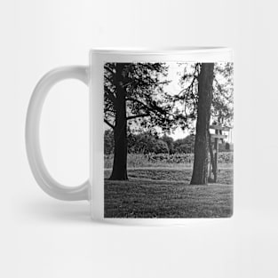 6337 Study 1 Mug